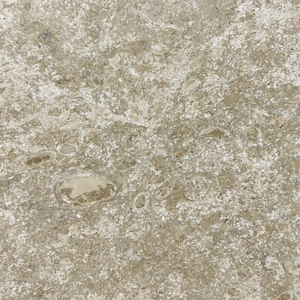 コーラルストーン